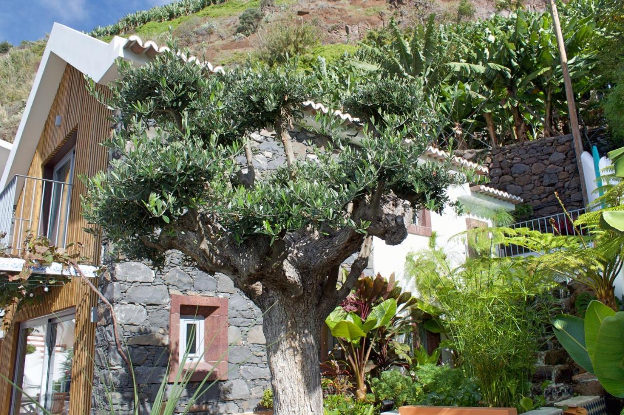 Ourmadeira - Villa Do Mar Iv, Secluded Calheta  Exterior photo